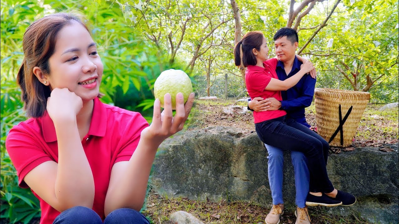 Harvesting Giant Guava Garden Goes To Market Sell,The man helped me work and good feelings begin