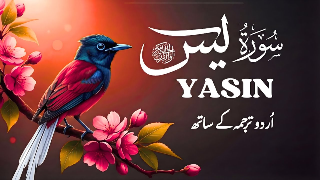 Surah Yaseen with Urdu Translation | Heart-Touching Tilawat by Qari Mansoor Ghaznavi | Ep010