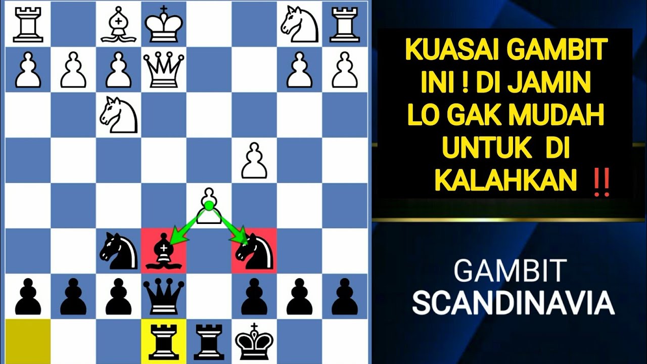Sumpah ✌🏻 Pembukaan Gambit hitam ini keren banget‼️ Penuh taktik & Jebakan