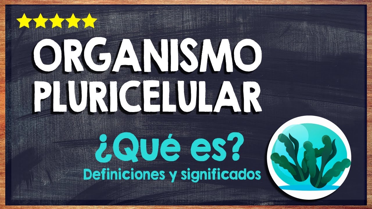🙏 &iquest;Qu&eacute; es un Organismo Pluricelular? - Organizaci&oacute;n Biol&oacute;gica de C&eacute;lulas 🙏