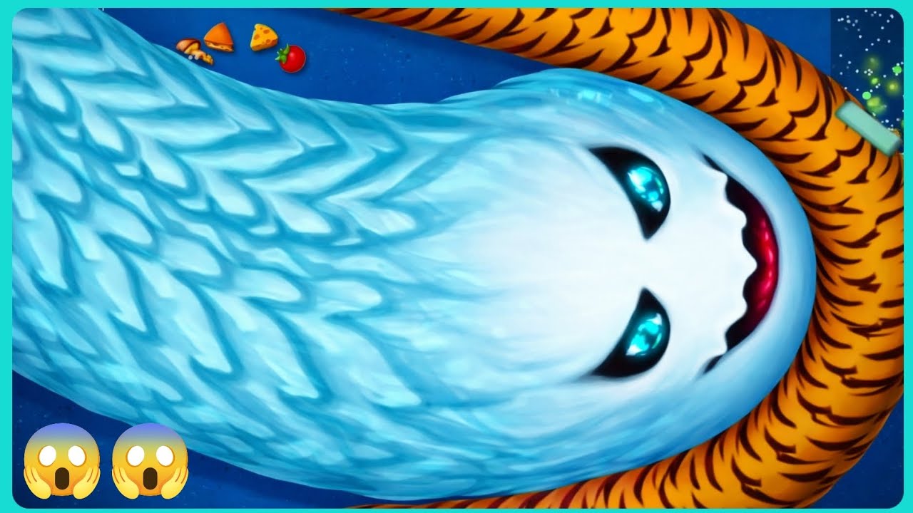 WormZone.io 001 Slither Snake Top 01 /Best Record Snake Epic WormZoneio #04