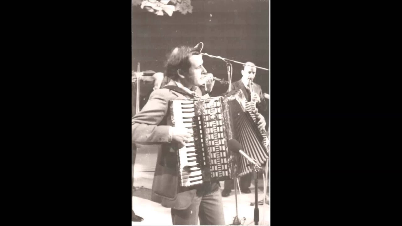 Luan Borova - Pranvera filloi me ardhë(instrumentale)