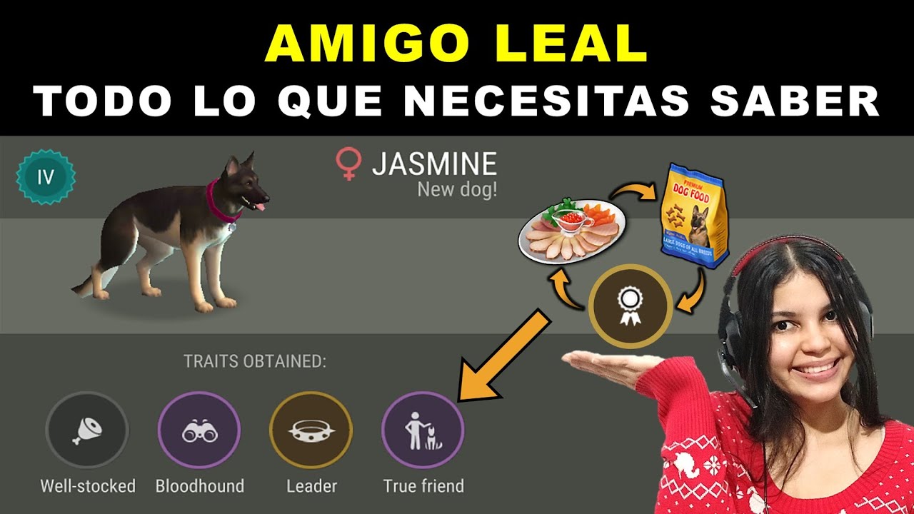 AMIGO LEAL Last Day on Earth TODO LO QUE NECESITAS SABER