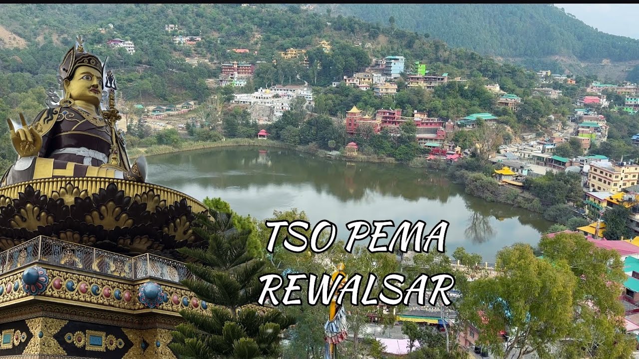 REWALSAR TSO PEMA #rewalsar
