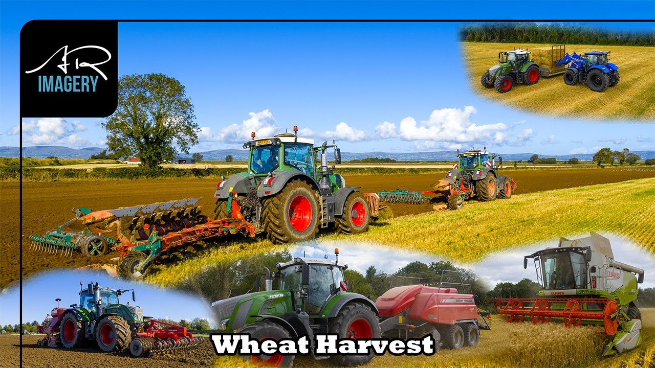 Spring Wheat From Start to Finish | Ploughing, Drilling, Harvest & Baling