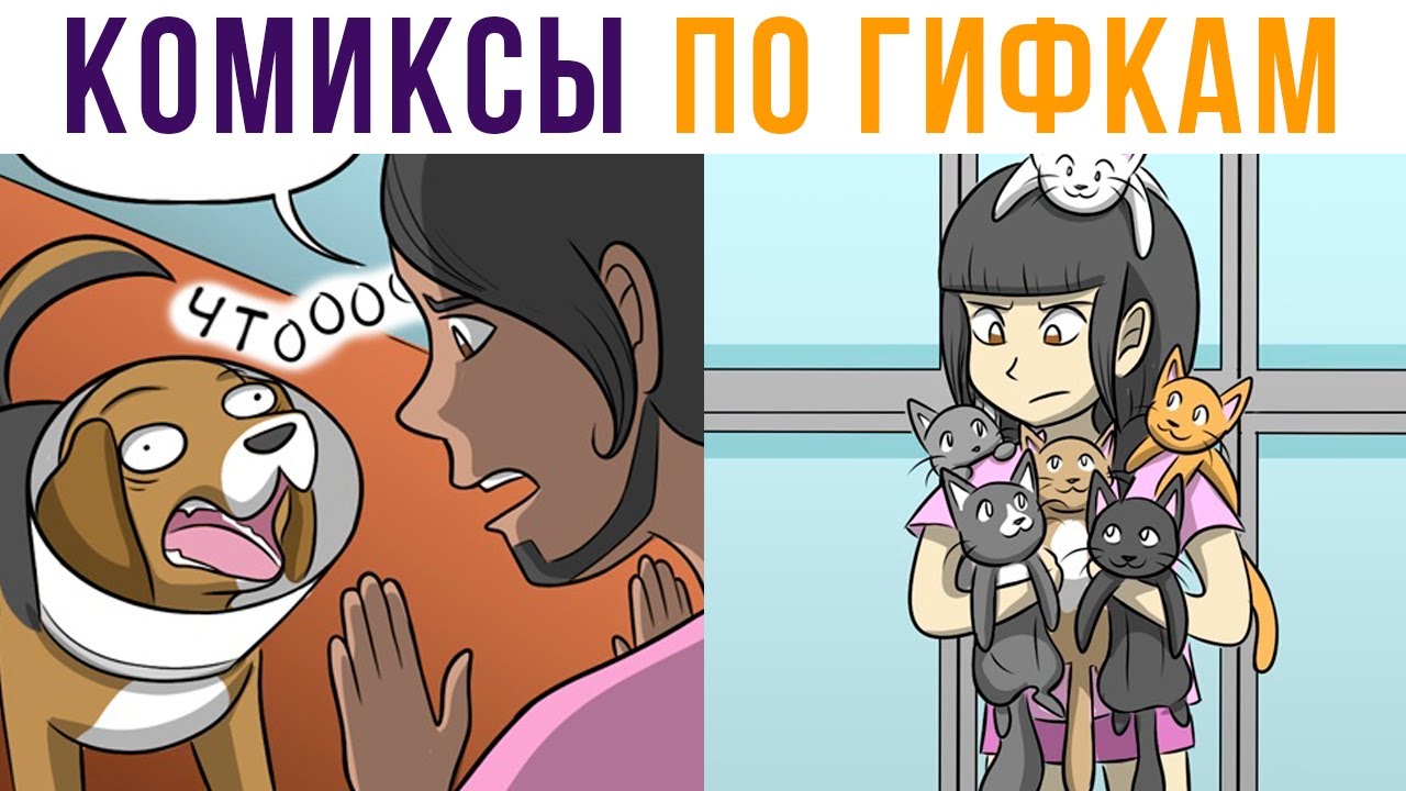 Комиксы по гифкам. КОШАЧИЙ ЛЕГИОН))) | Мемозг #514