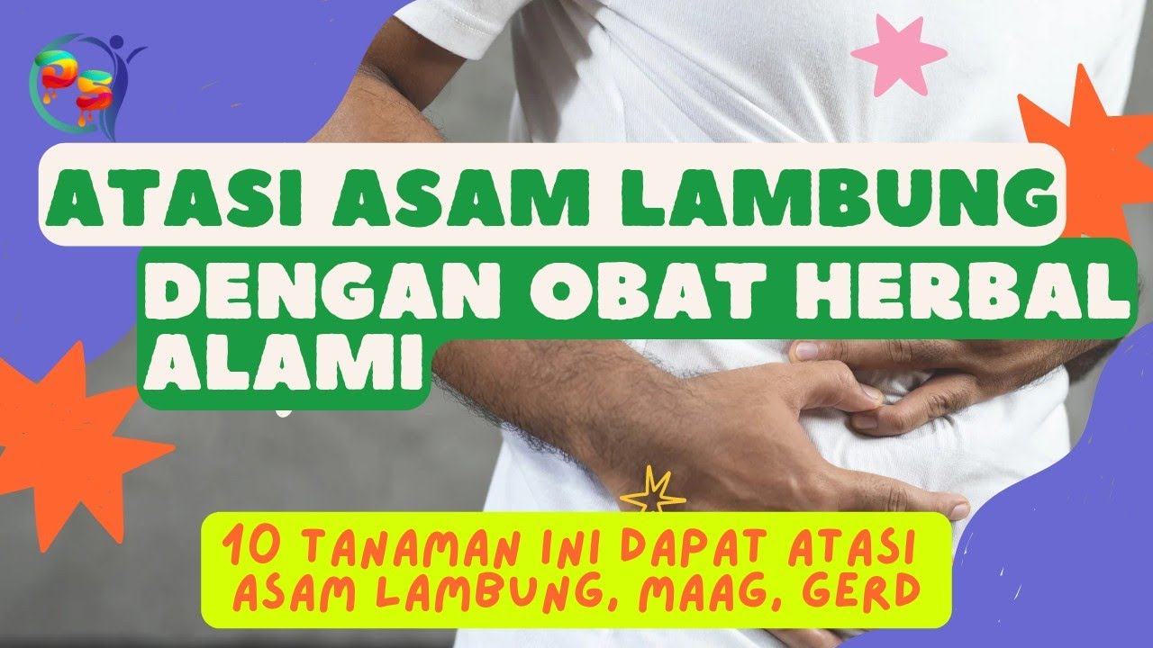 Atasi Asam Lambung Maag Gerd dengan Tanaman Herbal Ini | 10 Obat Herbal Yang Mudah di Temukan