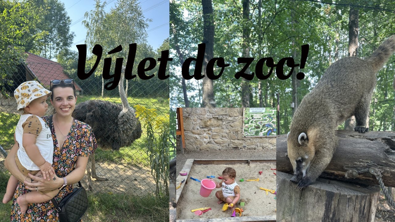 VLOG| Výlet do Zoo na Hrádečku