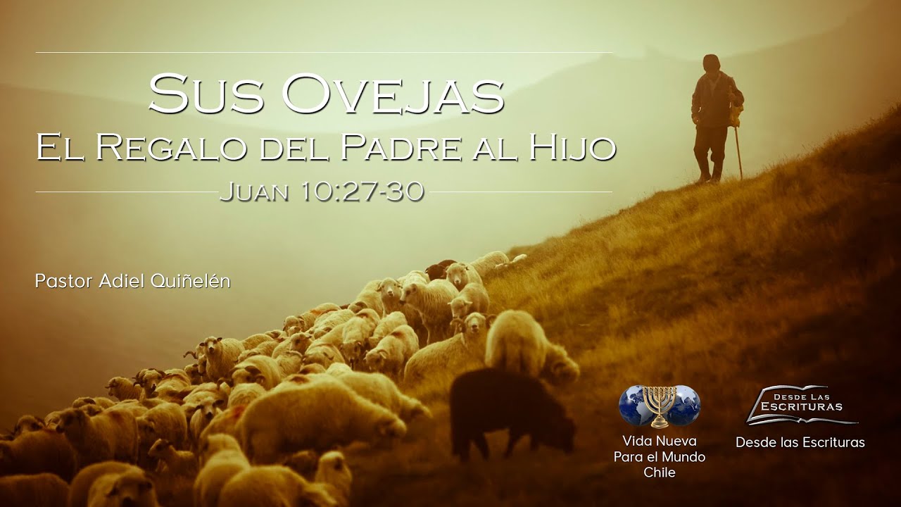 Sus Ovejas, el Regalo del Padre al Hijo (Juan 10:27-30)