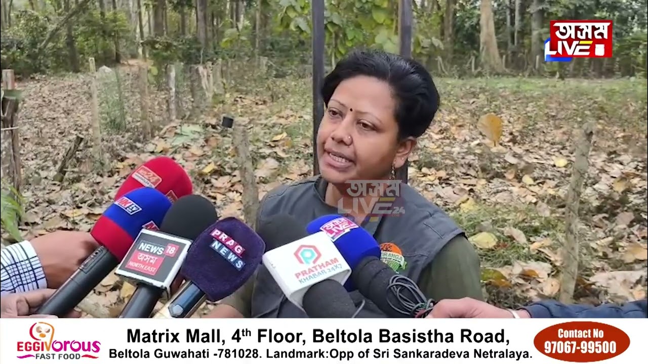 পৰ্যটকৰ বাবে মুকলি হ'ল পানবাৰী বনাঞ্চল