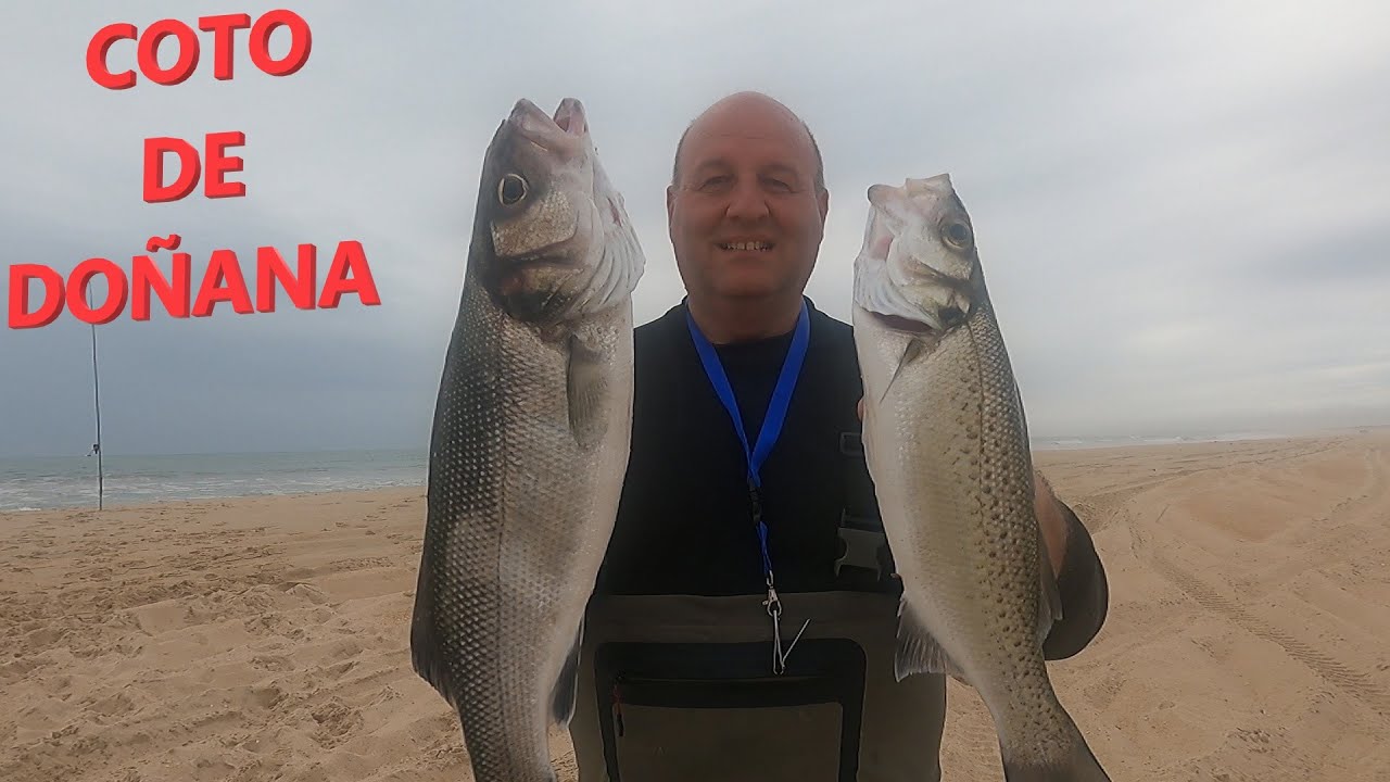 PESCA SURFCASTING EN EL COTO DE DOÑANA