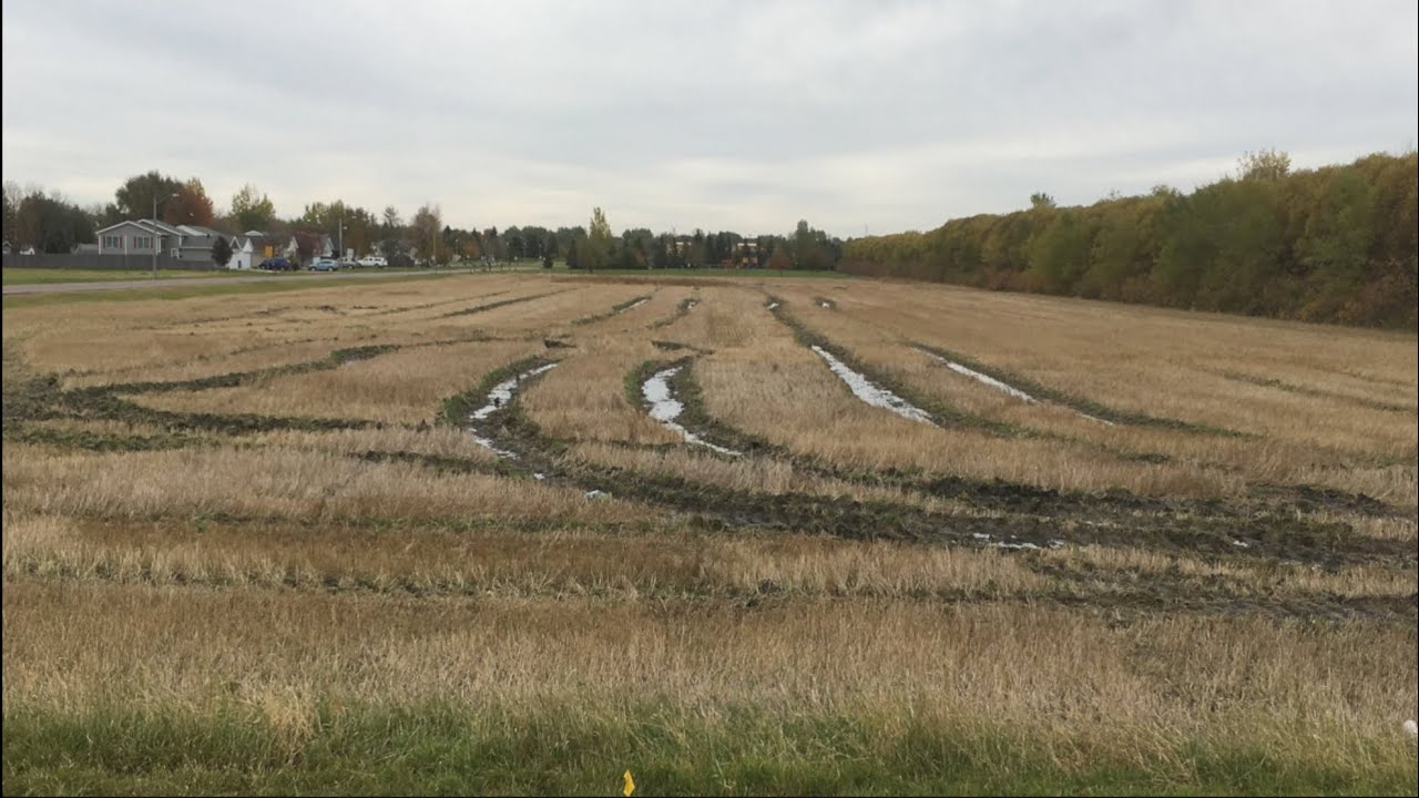 Canola School: Catastrophic Compaction