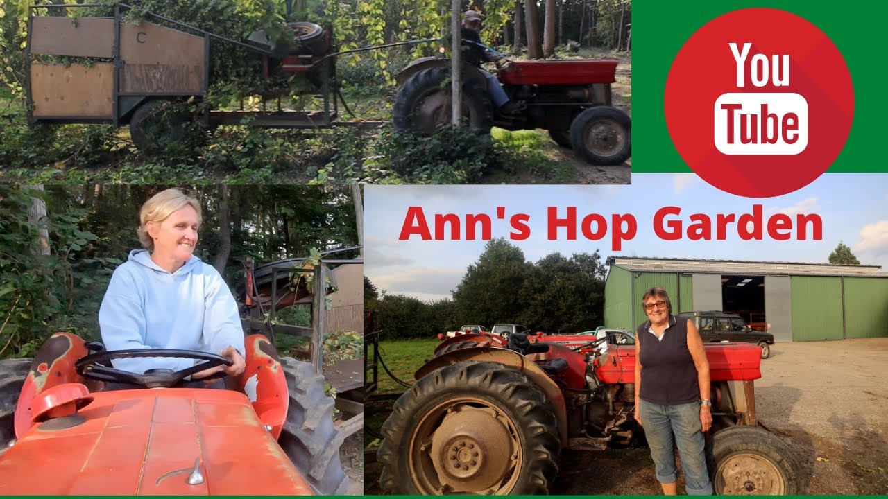 Ann's Hop Garden 2021 part 1