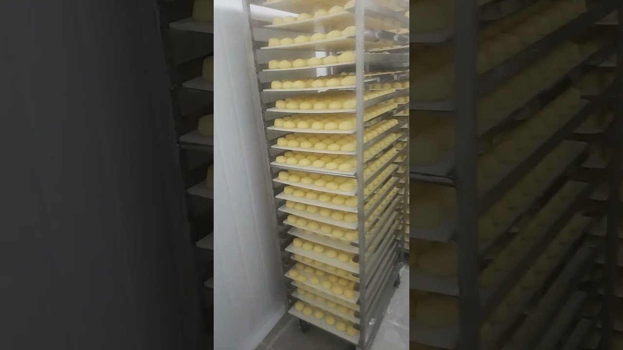 pao de queijo congelado tunel de congelamento