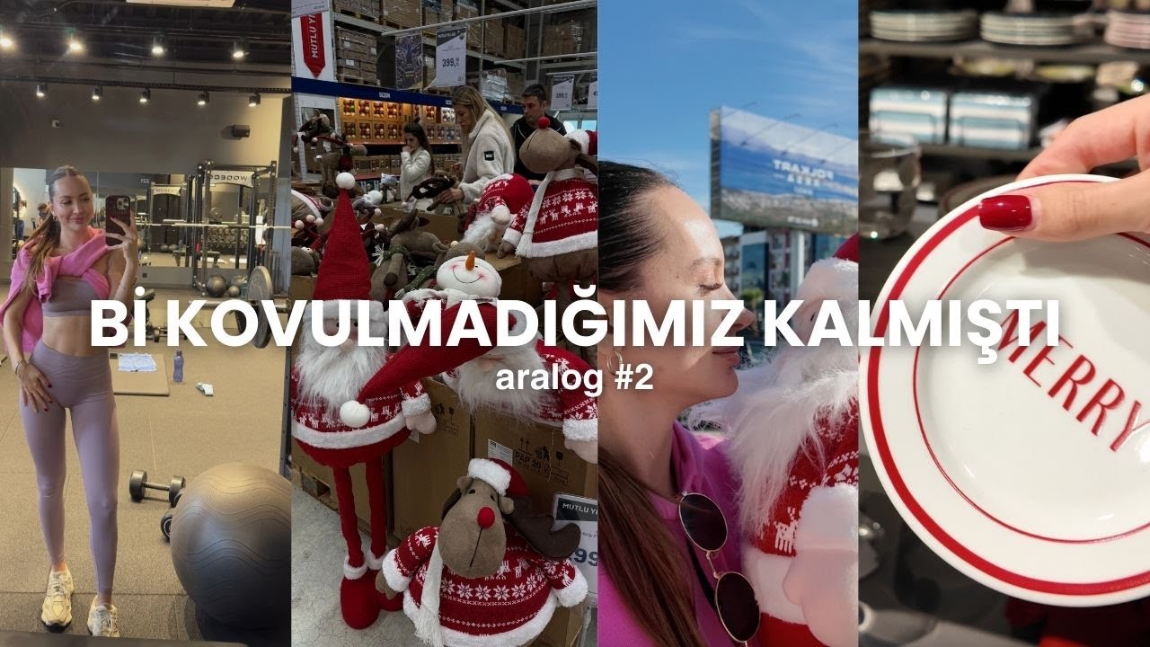 YAŞITLARIM 2. ÇOCUĞU YAPARKEN BEN: ARALOG #2 |  evimizin yeni üyesi ve neden ağaç kurmadık?