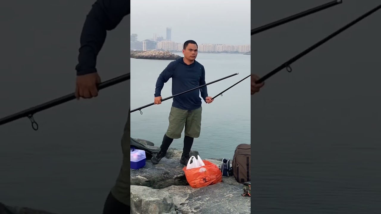 Daiwa sensor surf rods (5meters) #fishing #fishingdaily #dubaicanal #anglerlife #fish  #dubai