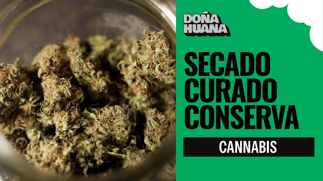 SECADO, CURADO, Y CONSERVACI&Oacute;N - A.P.B