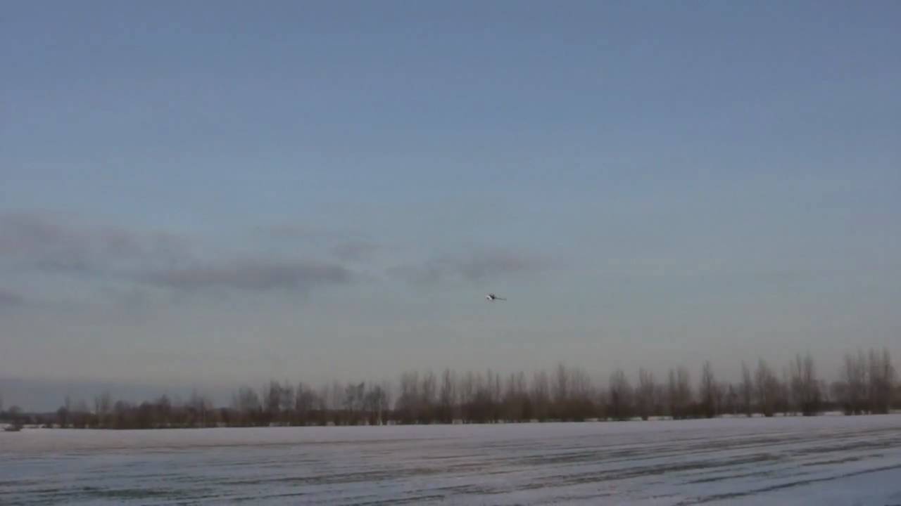 Vinter sjov 2010