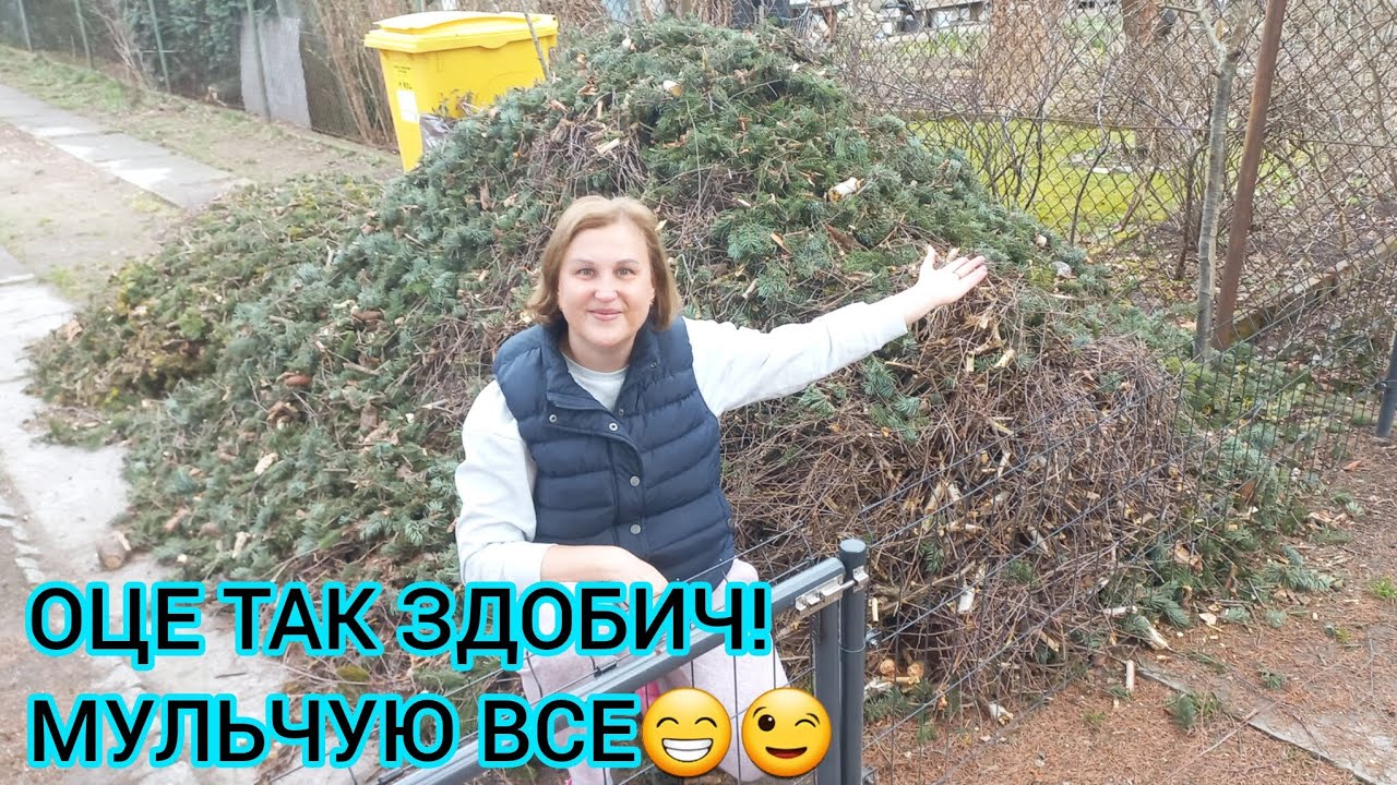 Надибала ЦІЛИЙ ПРИЧІП МУЛЬЧІ🌳Поставила ПАРНИК🥬Готую ГРЯДКИ#город#мульчуваннягороду#грядкинагорді#сад