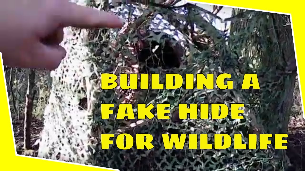 Building a Fake Hide for Wildlife Photography