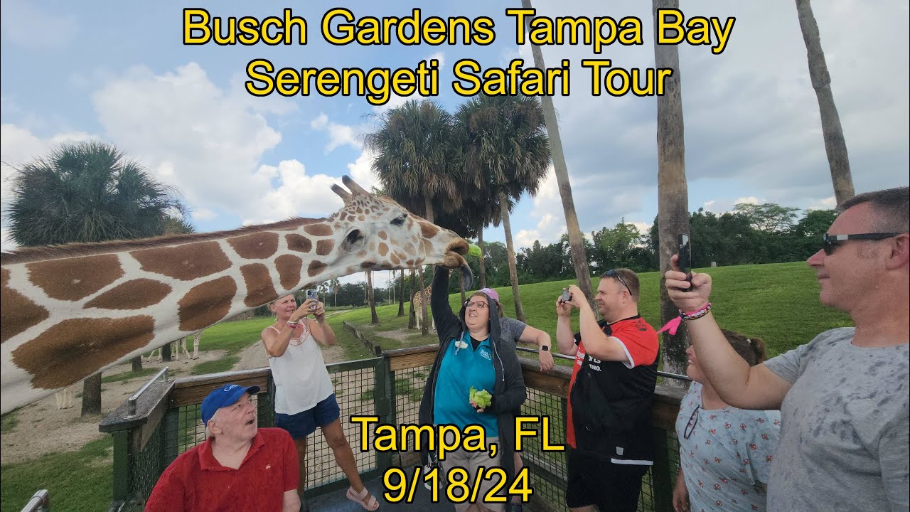 Busch Gardens Tampa Bay Serengeti Safari Tour - Highlights and Review - 9/18/24 - Tampa, FL