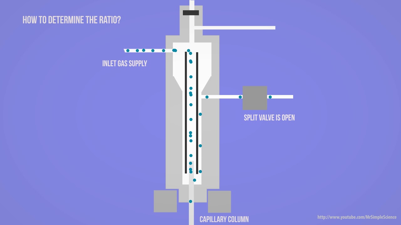 GC - Gas Chromatography - Split & splitless injection Animation HD