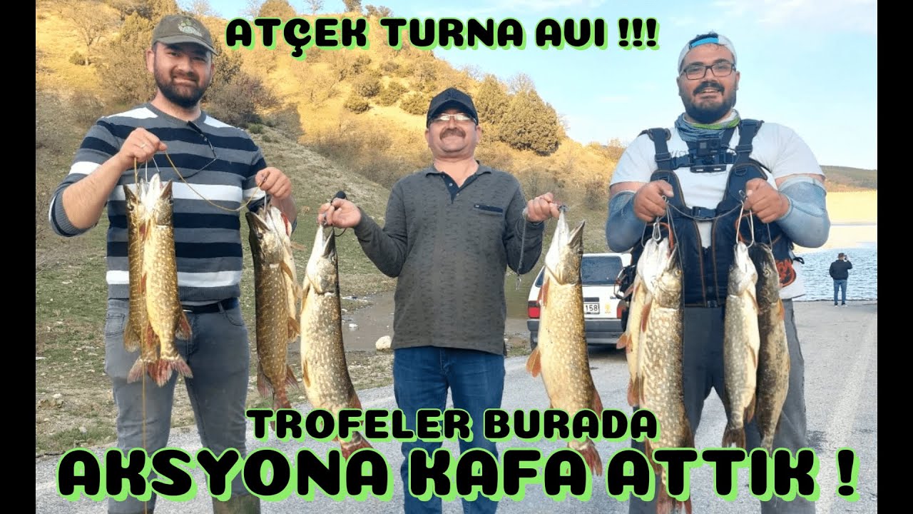 REKORLAR BURADA ! ÜÇ BÜYÜK TROFE BALIKLA AKSYONNN!!! AT ÇEK TURNA AVI !