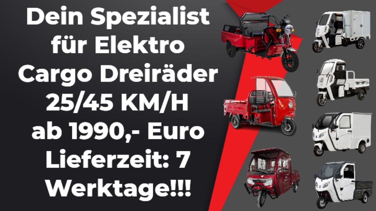 Elektro Cargo Nutzfahrzeuge ab 1990,- Euro