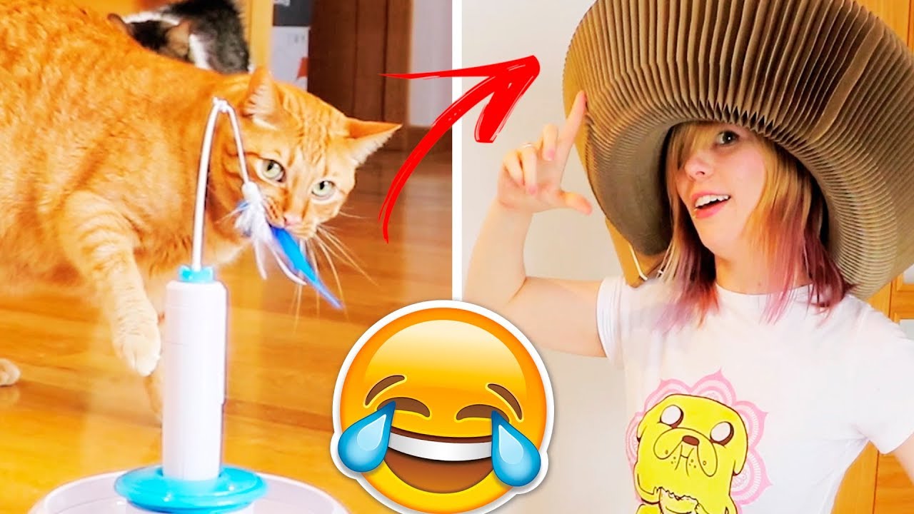LOS JUGUETES MÁS RAROS PARA GATOS 😂