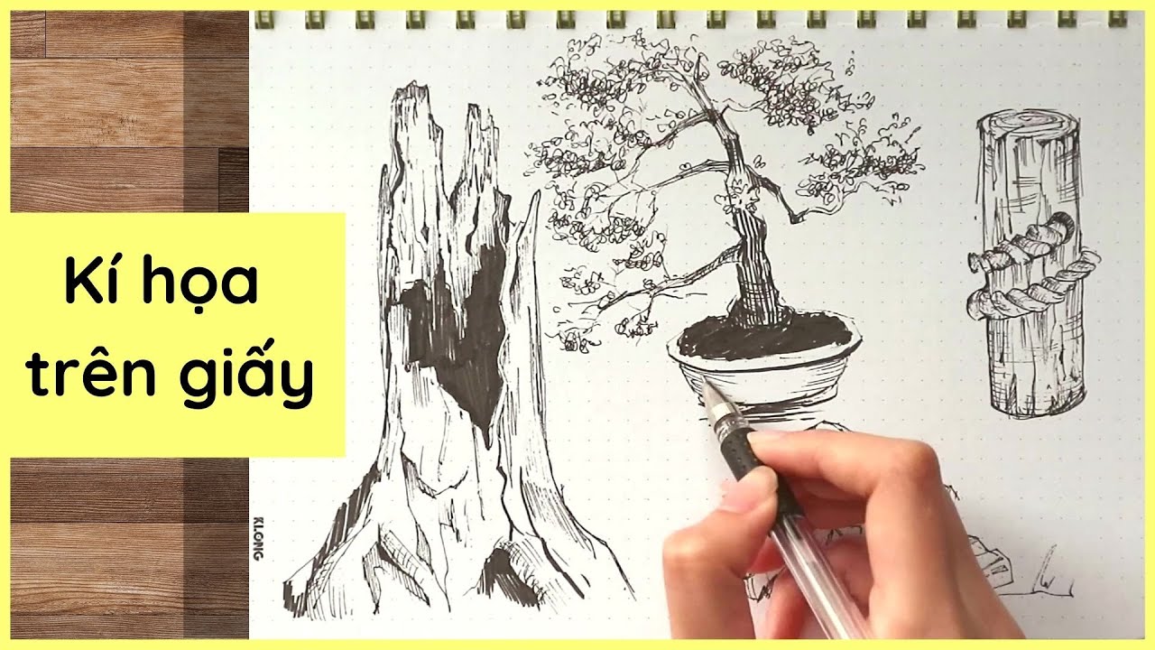 Cách vẽ trên giấy bằng bút mực ( Luyện nét, tìm hình mẫu,... )