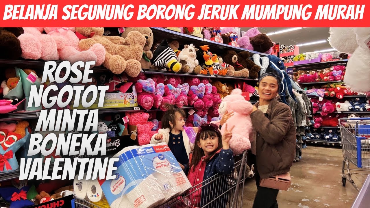 Belanja banyak dj Walmart trolley full sama macam macam jeruk 
