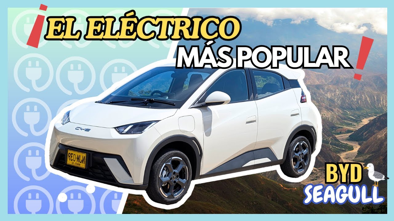 BYD SEAGULL (DOLPHIN MINI), A PRUEBA: el eléctrico más popular, viajando y en uso real #TestDrive