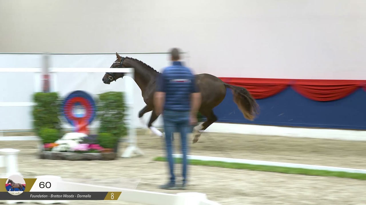 Feivel (Foundation x Bretton Woods)
