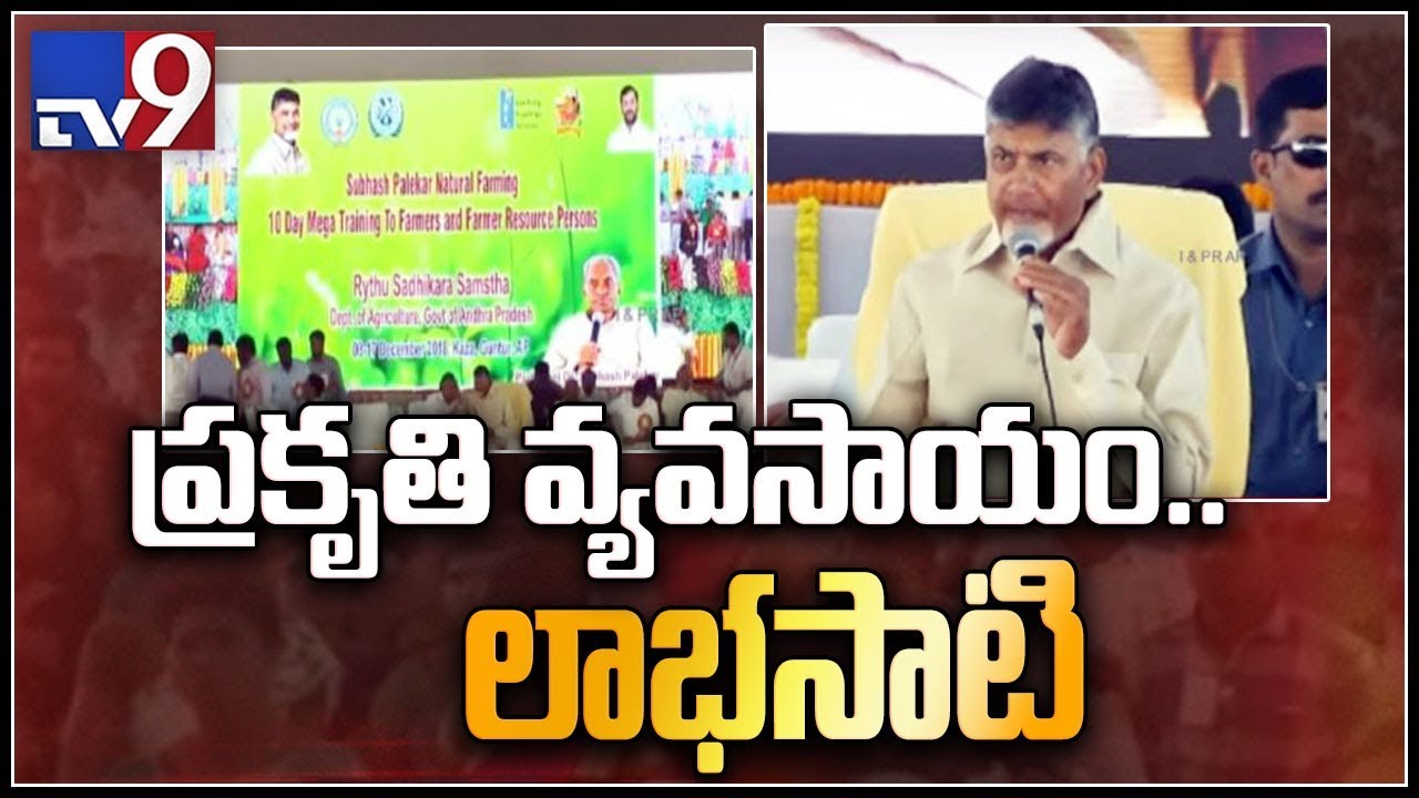 Andhra Pradesh will be No.1 by 2029 - Chandrababu Naidu - TV9