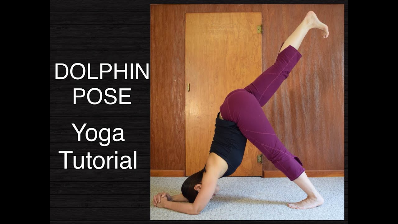 How to do Dolphin Pose - Yoga Tutorial