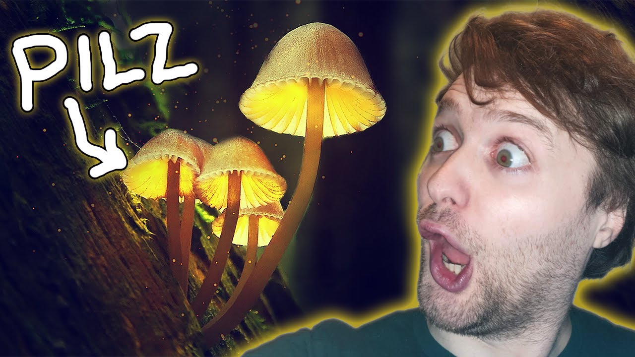 10 ZAUBERHAFTE FAKTEN ÜBER PILZE, DIE DICH VÖLLIG BEGEISTERN WERDEN