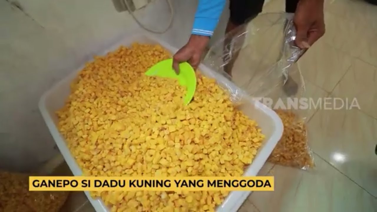 Ganepo Si Dadu Kuning Yang Menggoda | RAGAM INDONESIA (23/05/23)