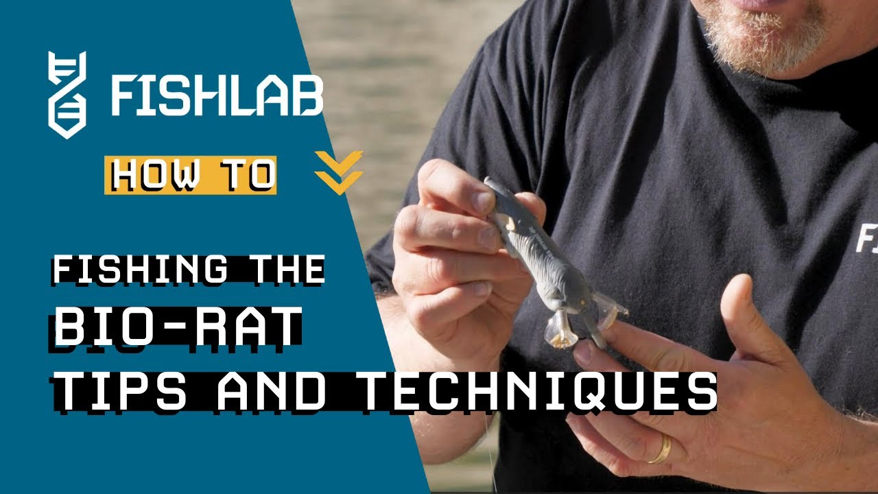 Proven Fishing Strategy - Catch BIG FISH With the Bio-Rat Topwater Bait