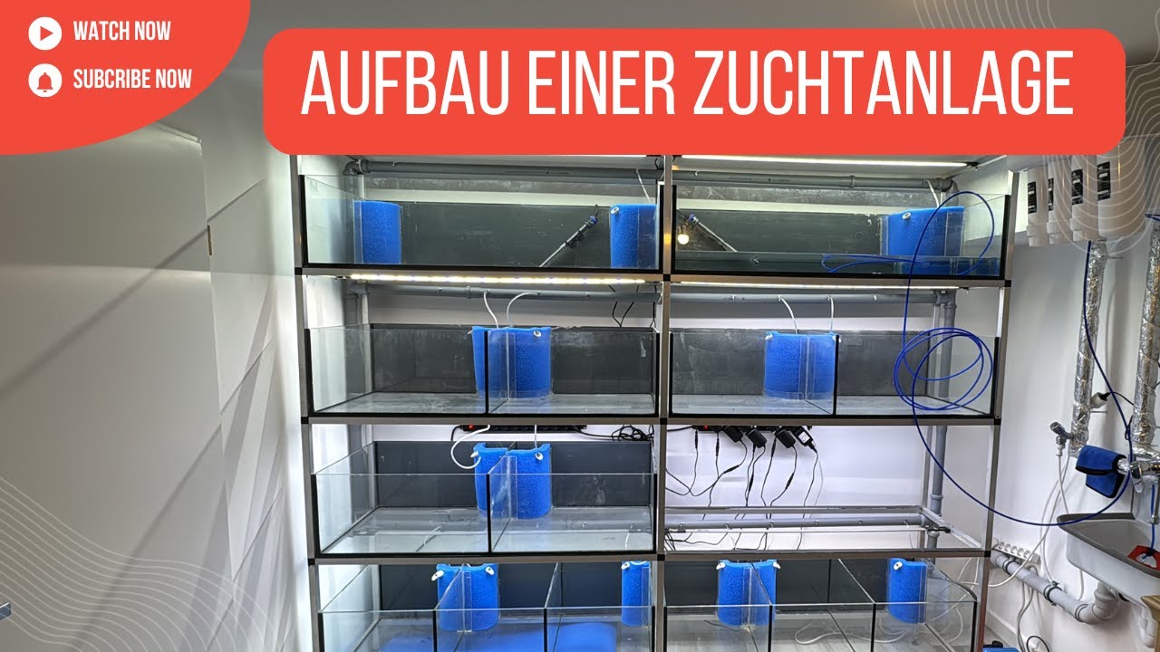 Aufbau einer Zuchtanlage