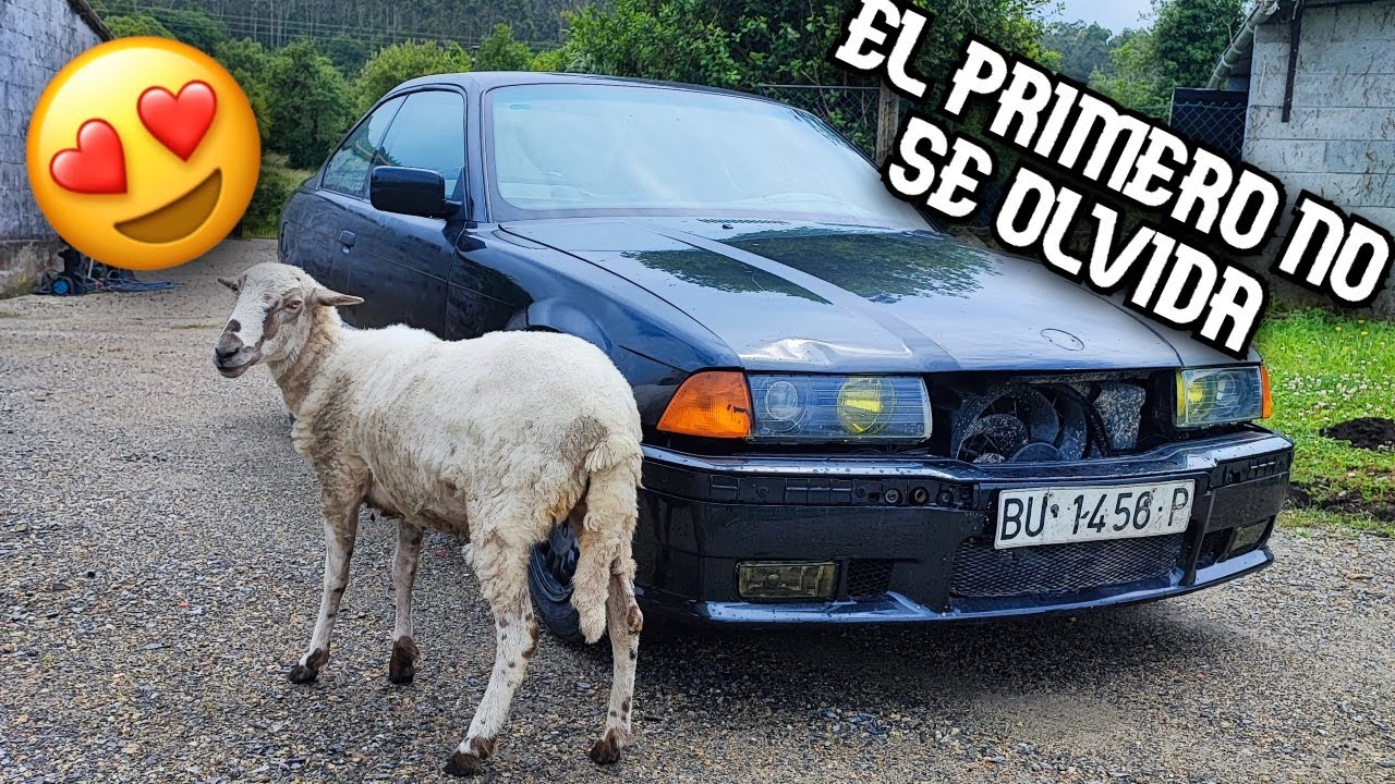 RESCATAMOS mi PRIMER BMW🔥(8 AÑOS DE BAJA en MADRID) 🫣 Y nos DESPEDIMOS del COMPACTO 🥲