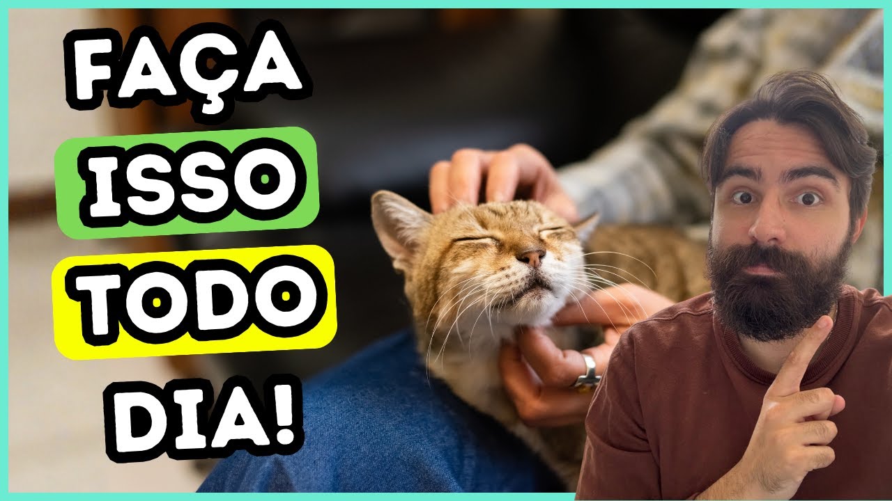 9 Coisas Que Você RARAMENTE Faz Pelo Seu Gato (Mas Deveria Fazer TODOS OS DIAS!)