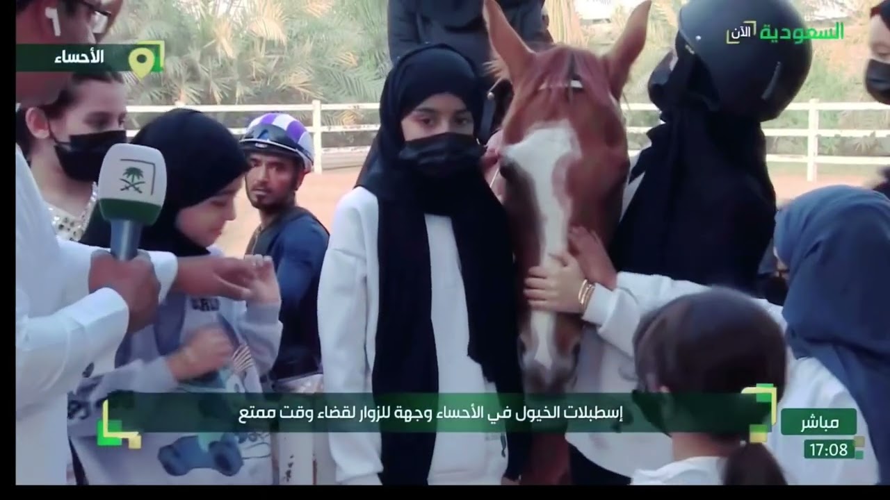 تدريب الاطفال و الفتيات على ركوب الخيل اسطبلات الخيل بالاحساء