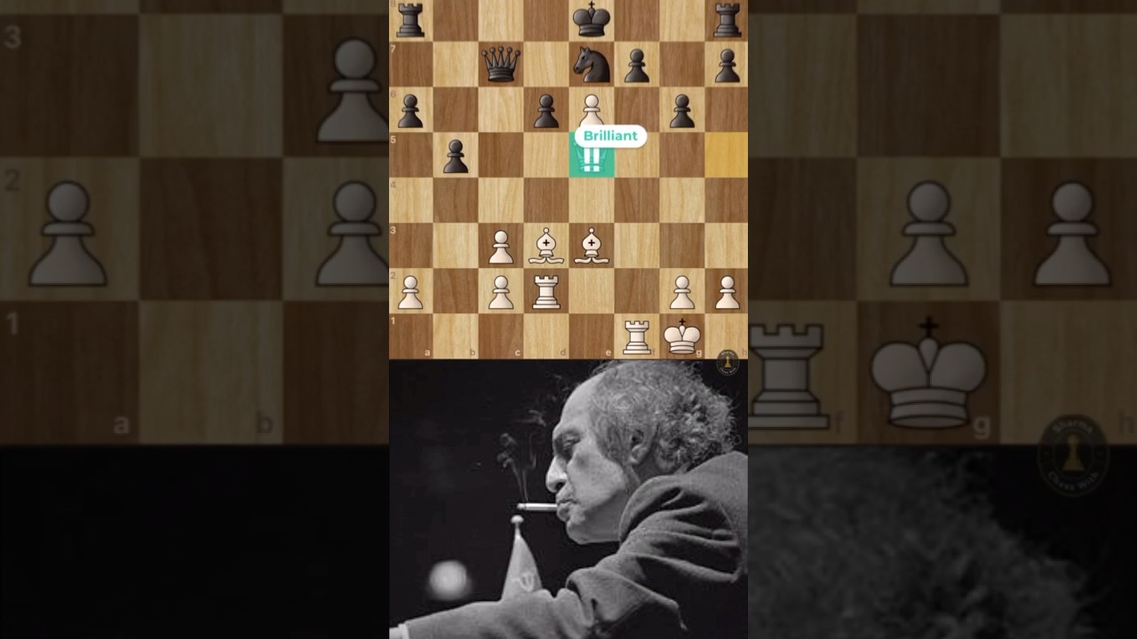 He Resigned When Mikhail Tal Sacrificed His Queen ☠️☠️ #chess #mikhailtal #chesstactics #shorts