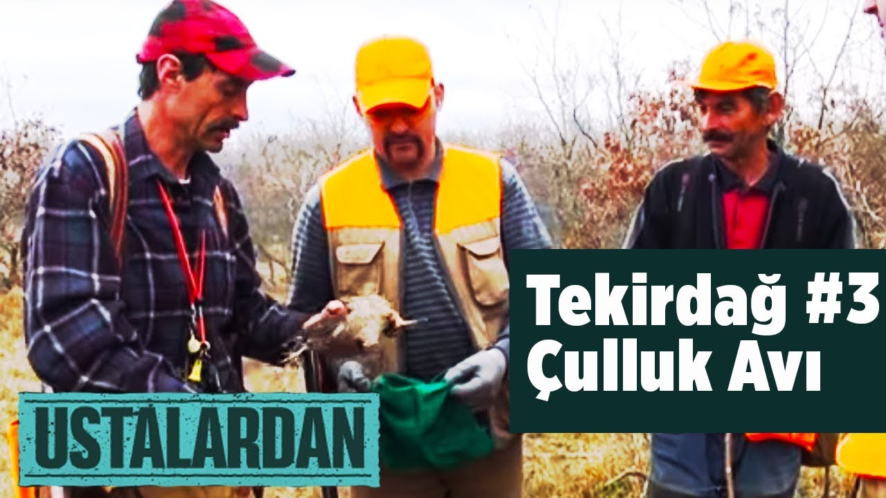 Tekirdağ Çulluk Avı - 2 - Ustalardan 3. Bölüm Yaban Tv - Woodcock Hunting Turkey