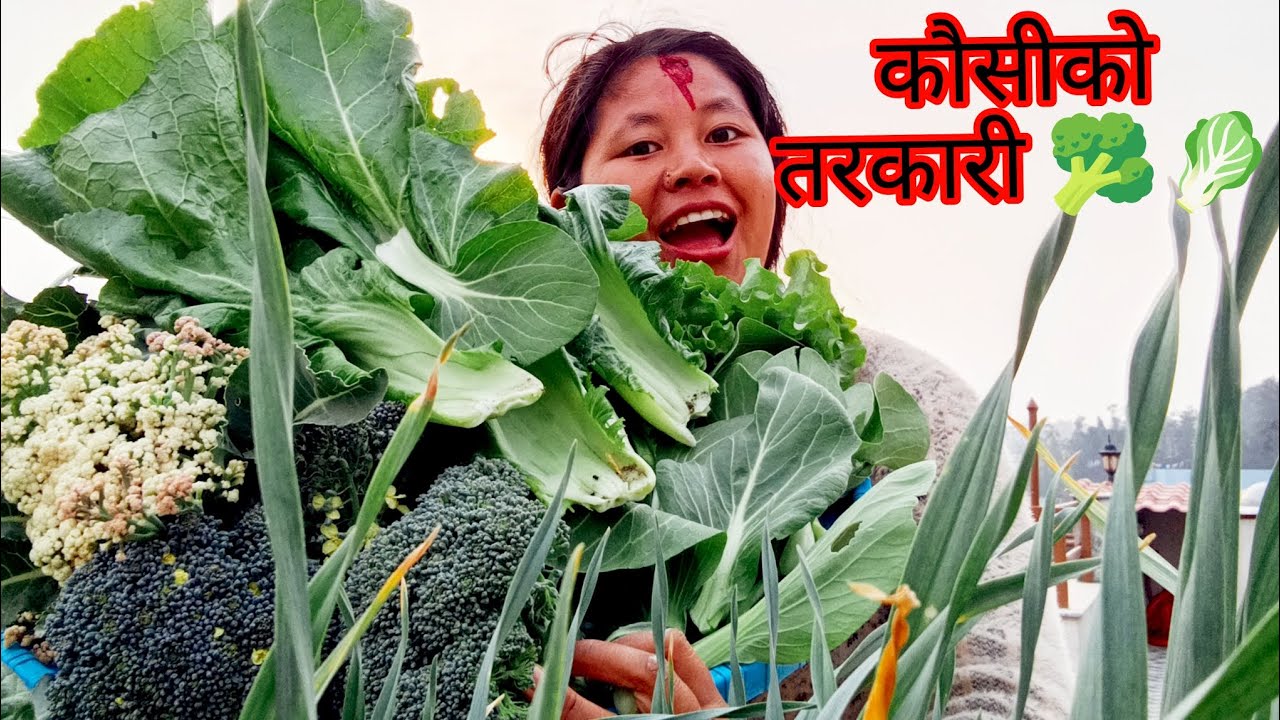कौसीको तरकारी 🥬🥦