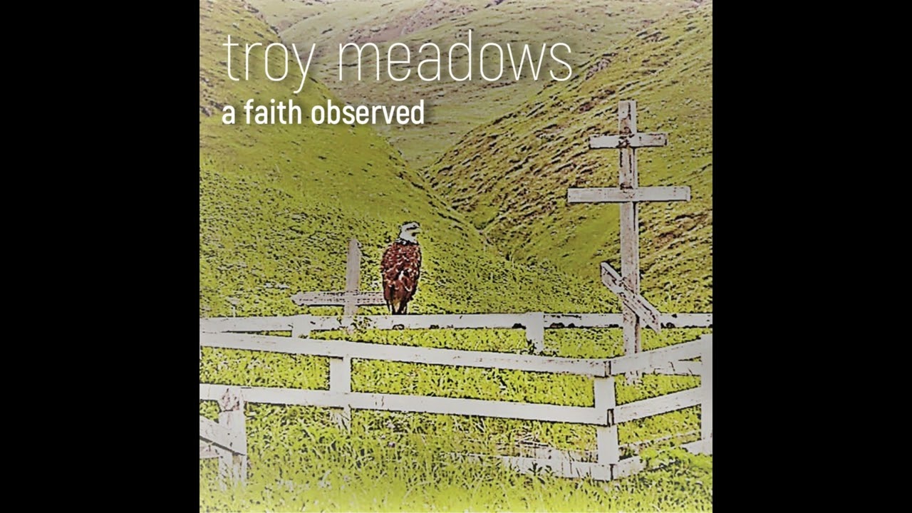 Troy Meadows - When I Forgive You