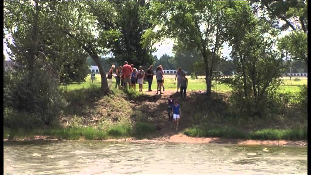 Sunflower Journeys Clip 1