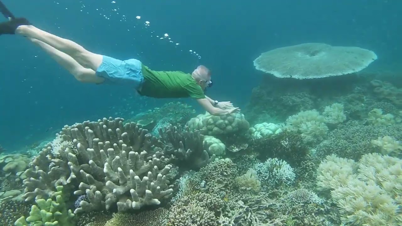 Raja Ampat - Chilling Out in Gam Bay