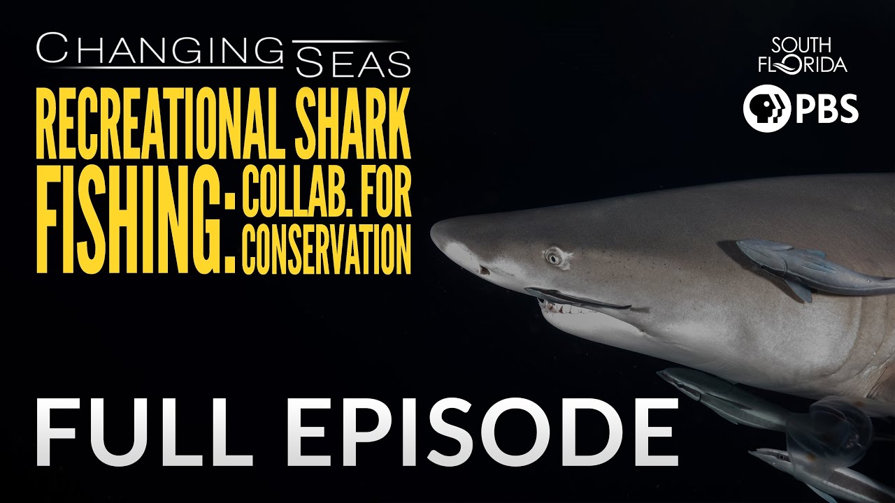 Recreational Shark Fishing: Collaborating for Conservation - Full Episode