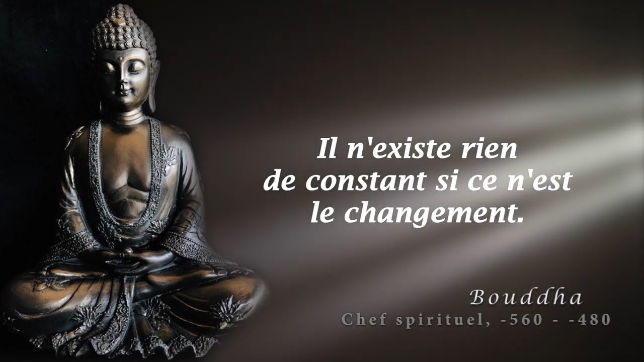 ⭐️LES MEILLEURES CITATIONS DE BOUDDHA